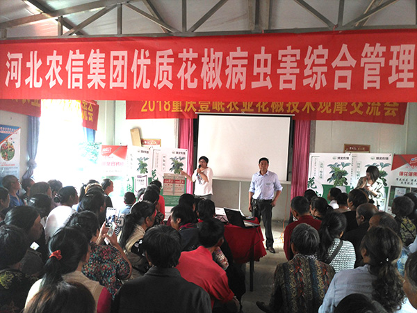 技术推广会
