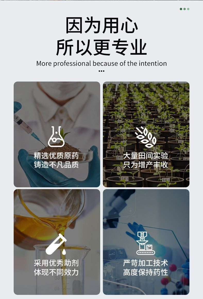迎战新起点 携手谱新篇——农信集团冬储出征仪式顺利举行