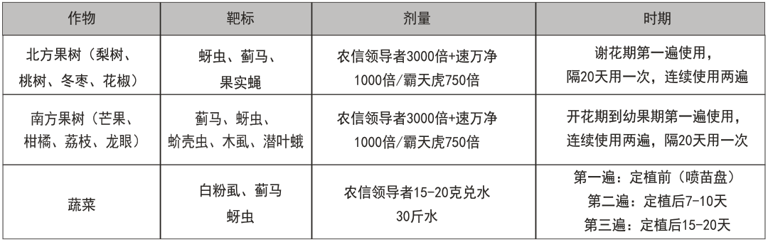 农信领导者