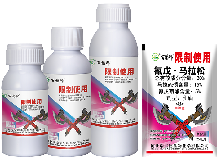 百稻邦