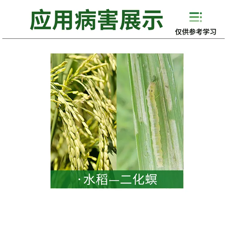 滴亩亩 亩亩滴