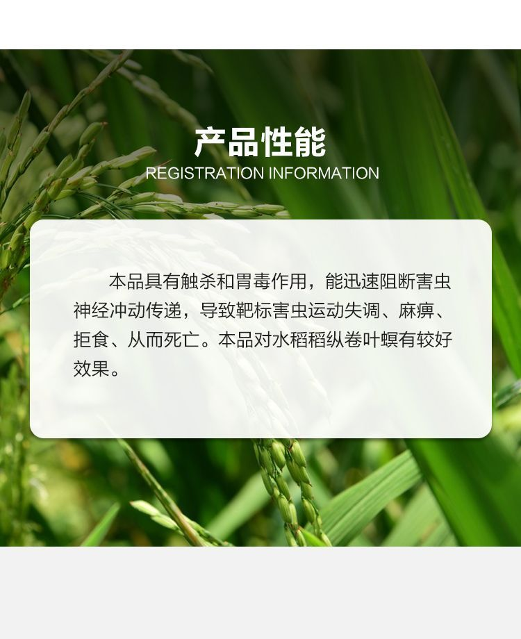 贵族